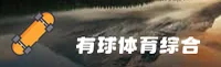 使用指南与常见问题